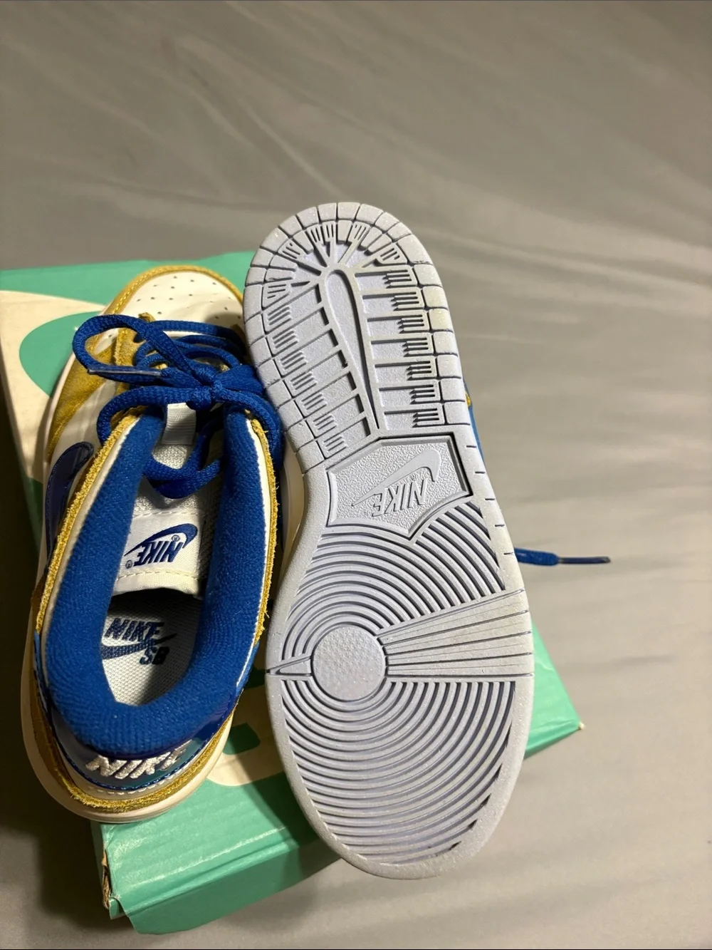 Nike sb zoom